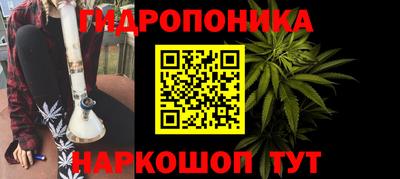 гидропоника Гагарин