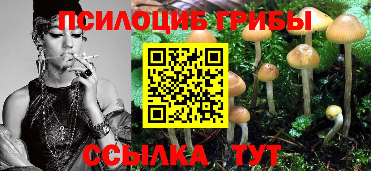 Галлюциногенные грибы GOLDEN TEACHER  Псилоцибиновые грибы Magic Shrooms  Кондопога  Вход с VPN 